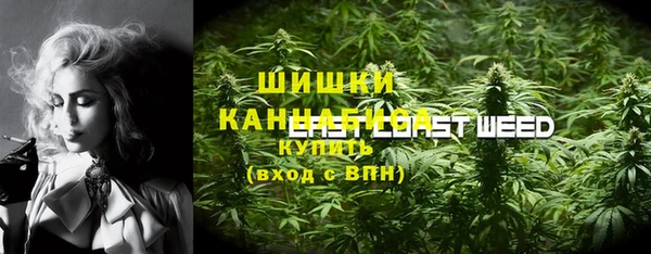 соль ск Арсеньев