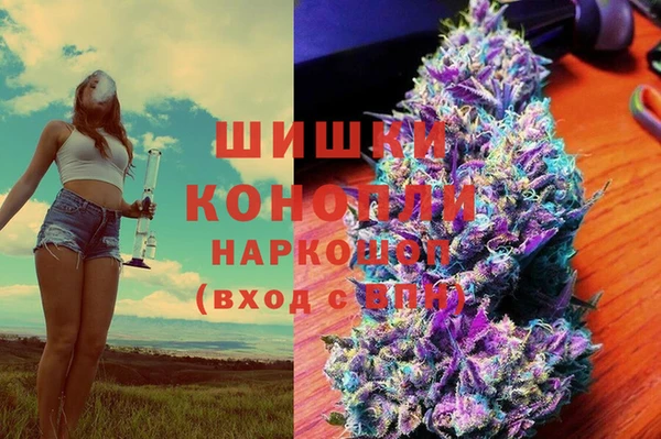стаф Алексеевка