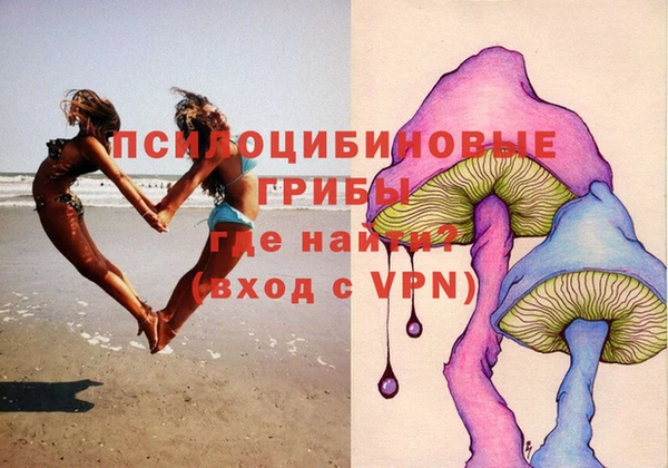 экстази Алексин