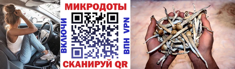 площадка формула  купить  цена  Строитель  Галлюциногенные грибы Magic Shrooms 