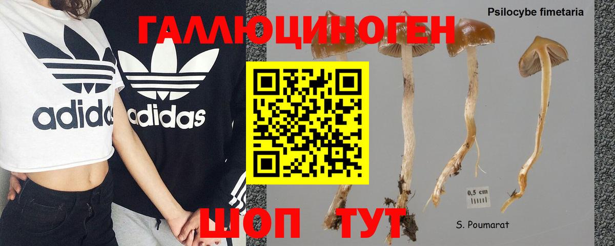 Псилоцибиновые грибы MAGIC MUSHROOMS Строитель