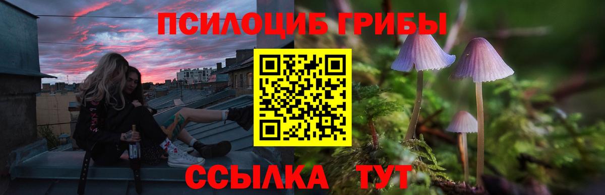 Строитель  Псилоцибиновые грибы Cubensis  Вход с VPN 